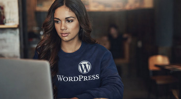 Wordpress Agency