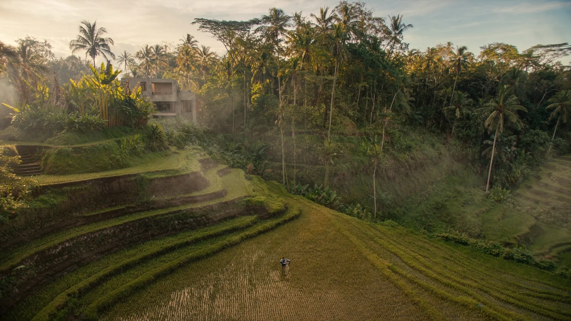 Terraced rice fields with a villa structure at the edge representing the AI visibility landscape for Southeast Asian hospitality properties